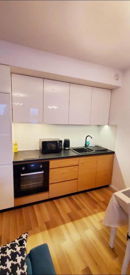Dworska Studio Apartment Cracovia Exterior foto